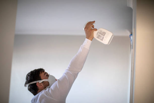 Trusted Passaic, NJ Mold Removal Experts
