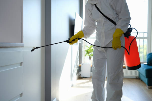 Best Mold Cleaning Services  in Passaic, NJ