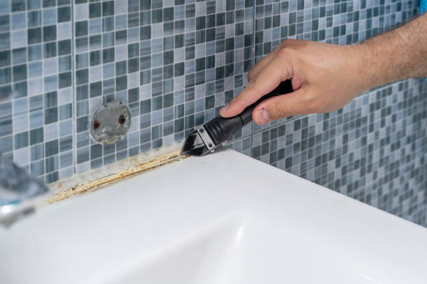 Best Mold Removal Near Me  in Passaic, NJ