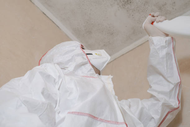 Best Mold Remediation  in Passaic, NJ